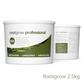The West Country Hedge Pack - With Plant Protection