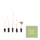 The West Country Hedge Pack - With Plant Protection
