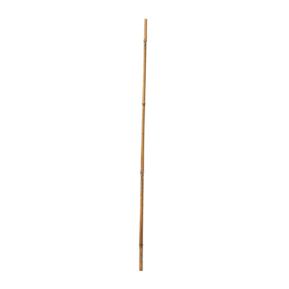 Bamboo Support Cane - 450mm