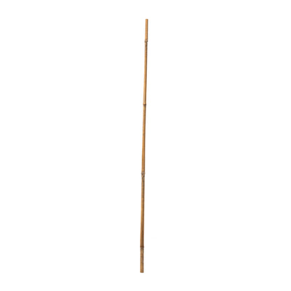 Bamboo Support Cane - 900mm