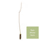 Spindle